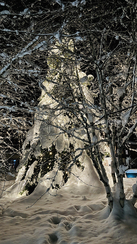 用大量的雪照亮圣诞树