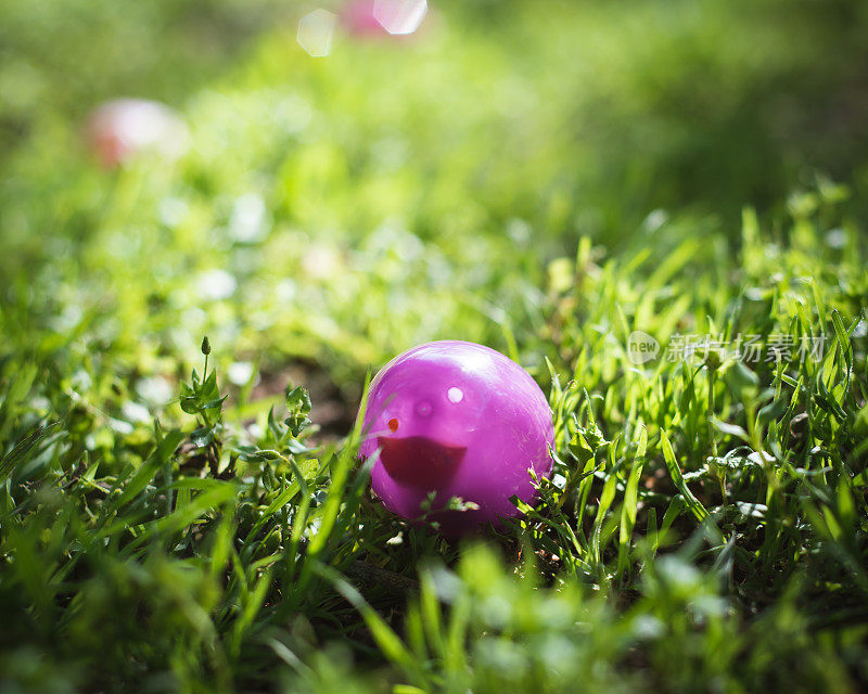 色调照片浅DOF彩色复活节彩蛋在绿色草地与清晨背光，鸡蛋狩猎传统在当地教堂后院，达拉斯，德克萨斯州，基督教节日庆祝活动
