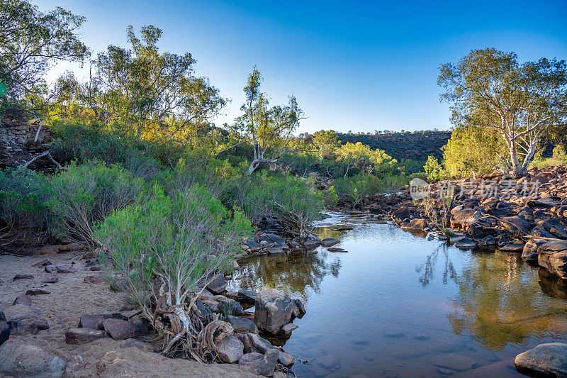 西澳大利亚卡尔巴里国家公园的罗斯格雷厄姆河漫步