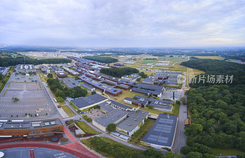 欧登塞大学