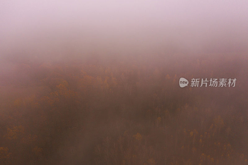 秋季森林无人机摄影。多雾的天气。糟糕的能见度。雾。地球上空飞行。自然背景。多雨的季节。大气神秘的景观