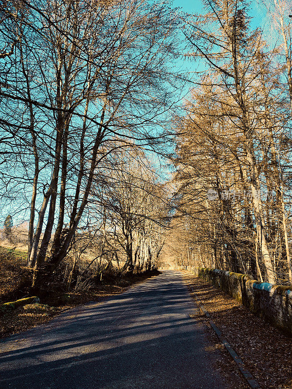 空旷的乡村道路与树木在气球格拉斯哥苏格兰英国