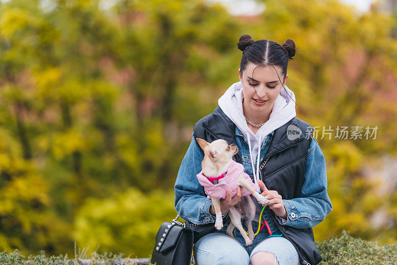 漂亮的年轻女子和一只吉娃娃狗，彩色背景