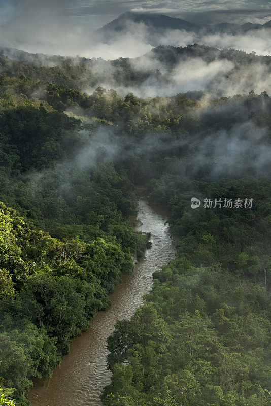 雾蒙蒙的丛林雨林，河流，雾和山脉在早晨从上面延伸。鸟瞰图。