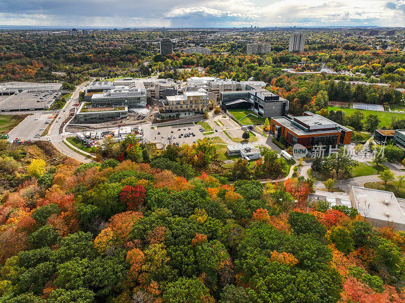 秋季多伦多大学密西沙加分校鸟瞰图