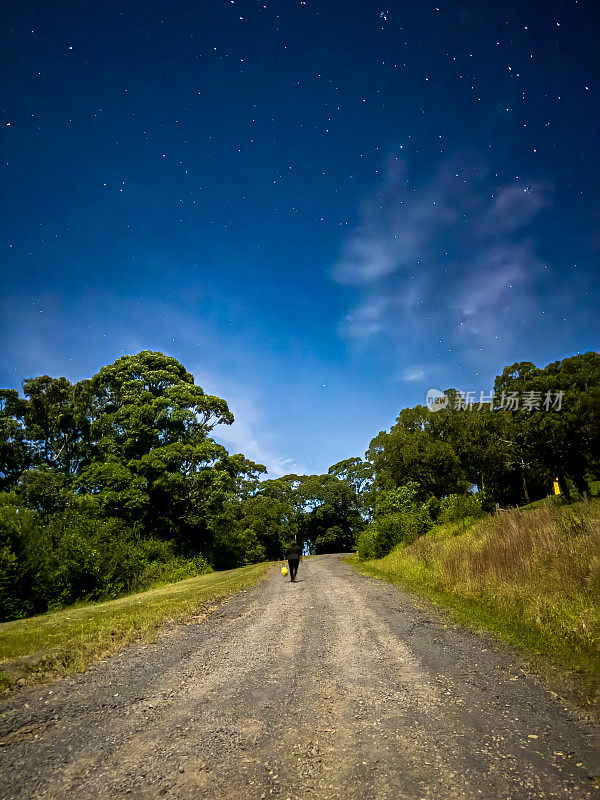 澳大利亚新南威尔士州南部高地鲍尔上空的银河和明亮的星星，银河系的壮丽色彩