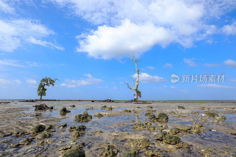 塑料垃圾粘在海滩上