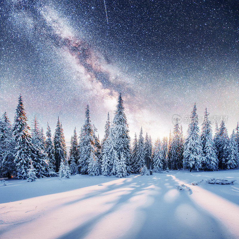 《星际迷航》里冬天的树林。戏剧性和风景如画的sc