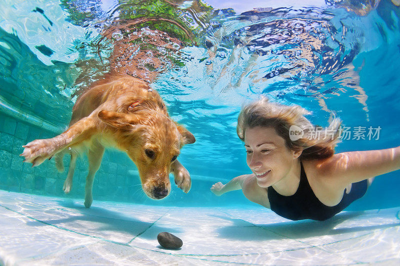 带着狗在水下游泳的女人