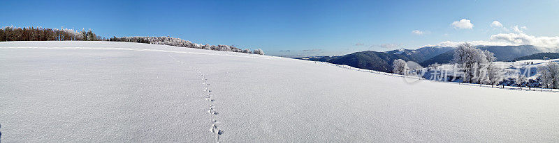 黑森林冬天的雪景