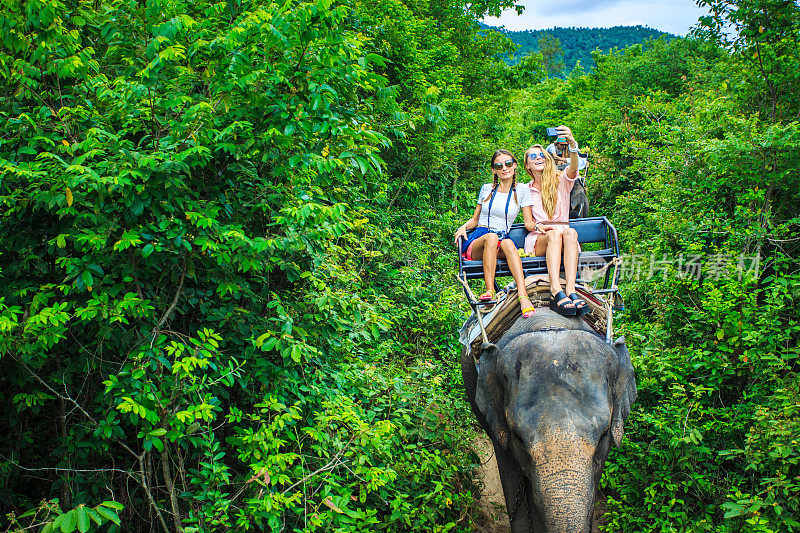 一群泰国游客骑着大象穿过丛林