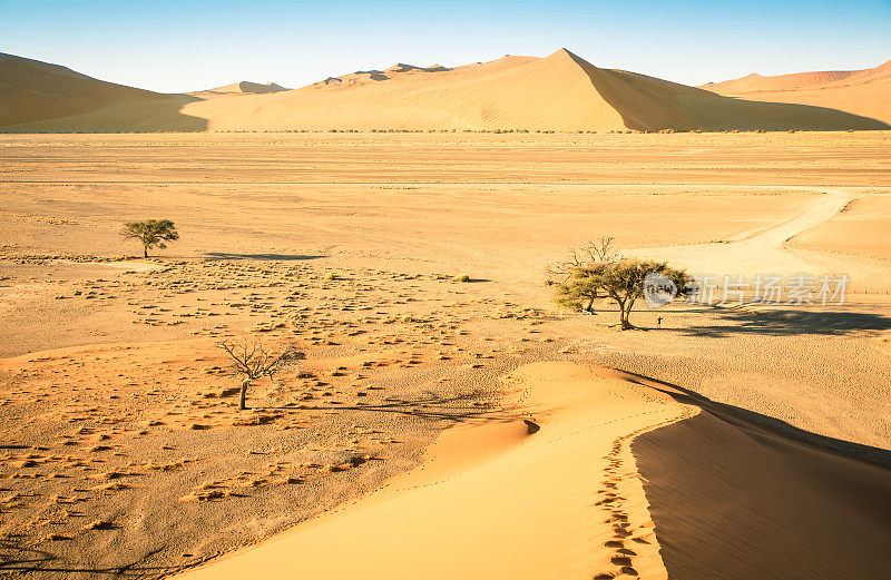 索苏斯瓦利-纳米比亚沙漠中的45号沙丘