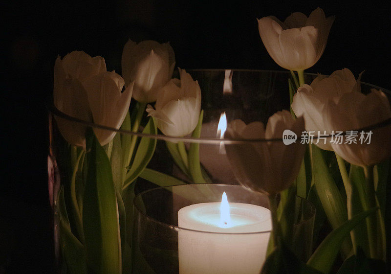 花瓶里插着蜡烛的郁金香