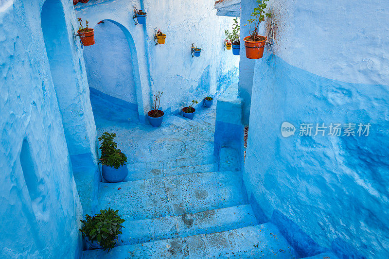 蓝色楼梯和五颜六色的花盆，Chefchaouen，摩洛哥，北非