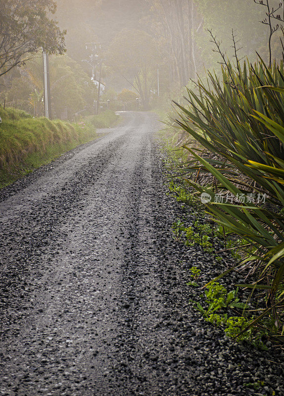 模糊的道路