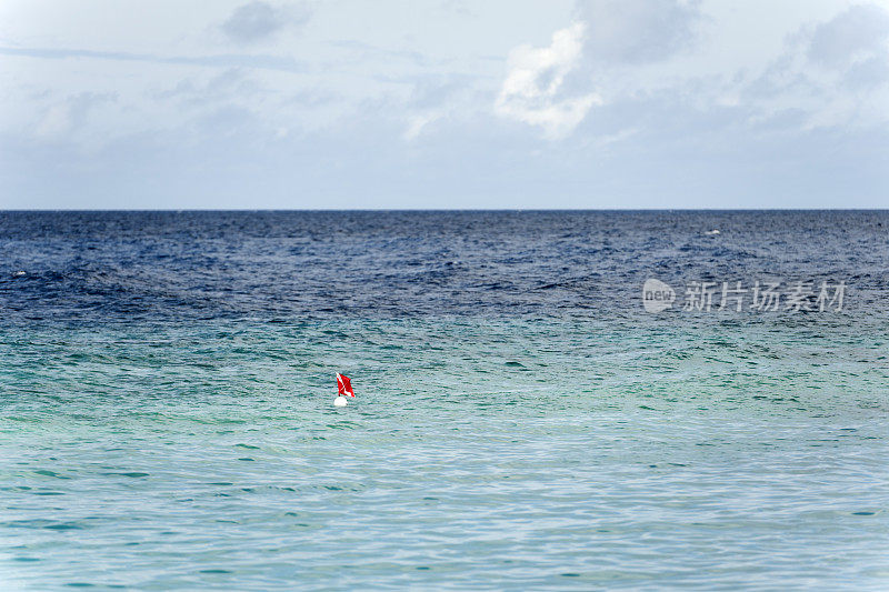 在加勒比海浮标下面的潜水员