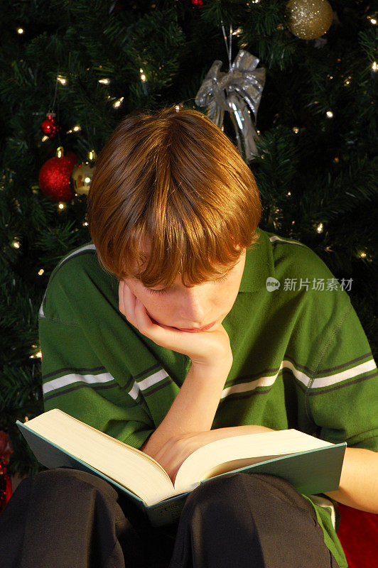 男孩在圣诞节读一本书