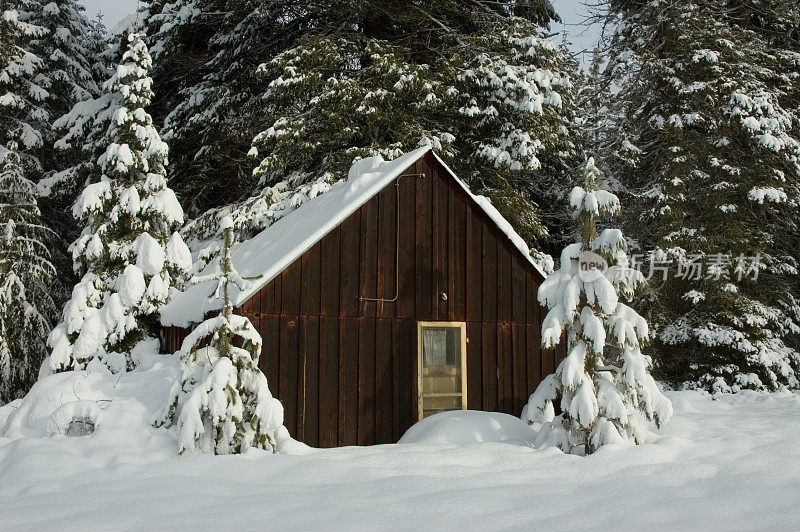 埋在雪中的乡村小屋