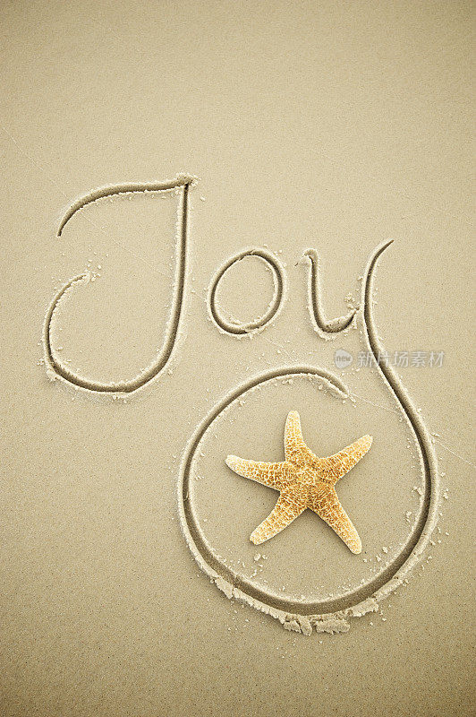 欢乐信息:在干净的棕色沙滩上的海星