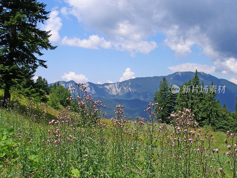 夏日里，罗马尼亚的喀尔巴阡山脉