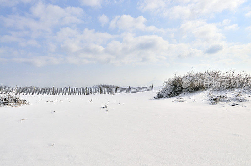 阿萨提格的雪栅栏