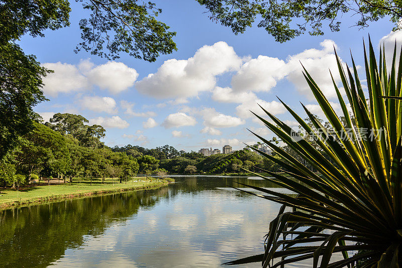巴西圣保罗的Ibirapuera公园