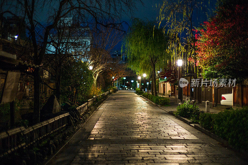 日本枫树和柳树在京都街头的夜晚