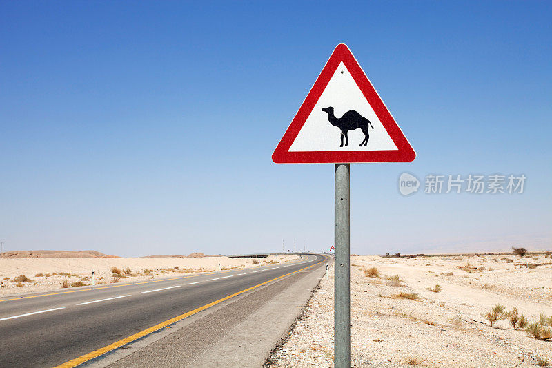 小心!路上有骆驼。