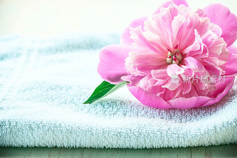 粉红色的花和白色的毛巾