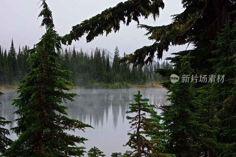 雷尼尔山湖