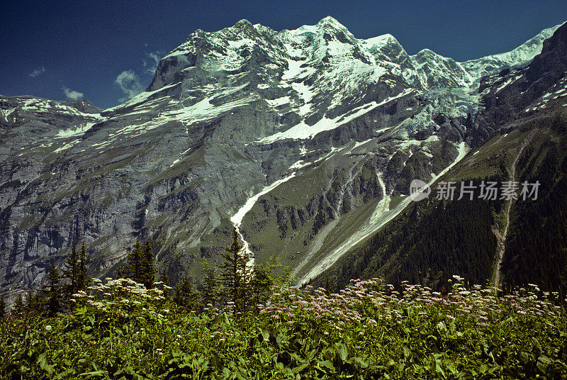 的Breithorn