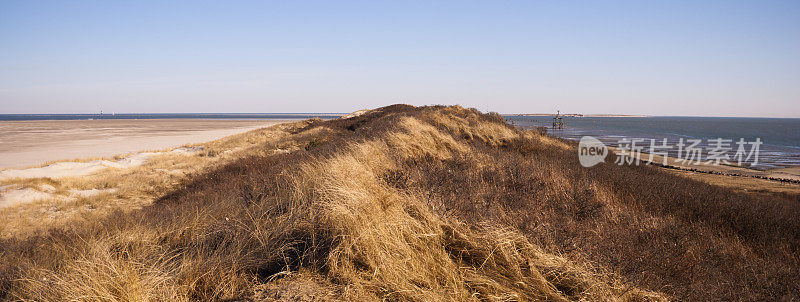 Wangerooge岛的沙丘