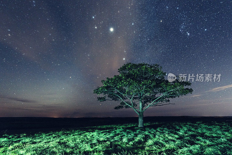 繁星闪烁的夜晚,