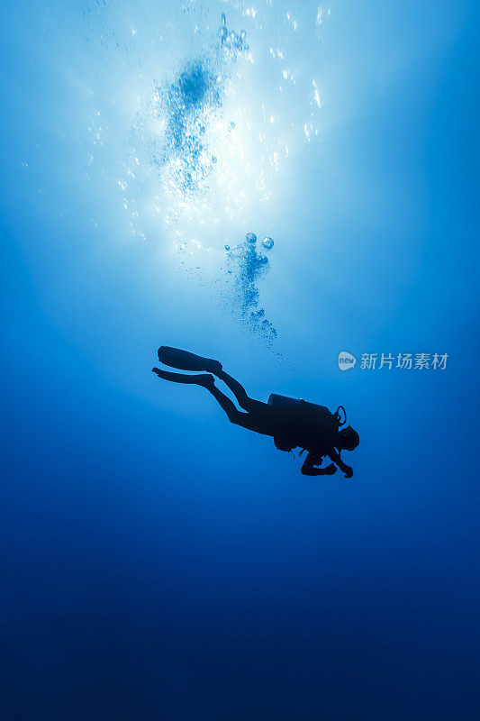 剪影潜水员在野外蓝色那边在清澈的海
