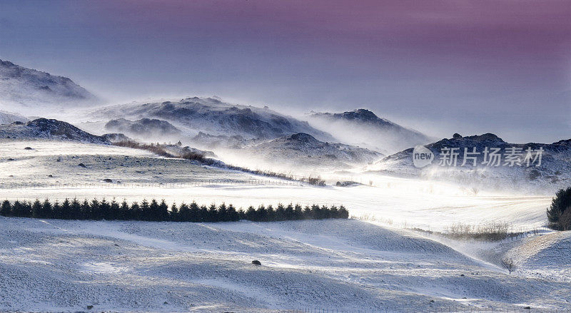 雪吹在冬天的风景