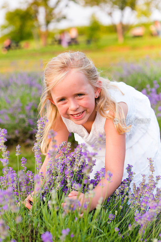 小女孩在薰衣草地里微笑