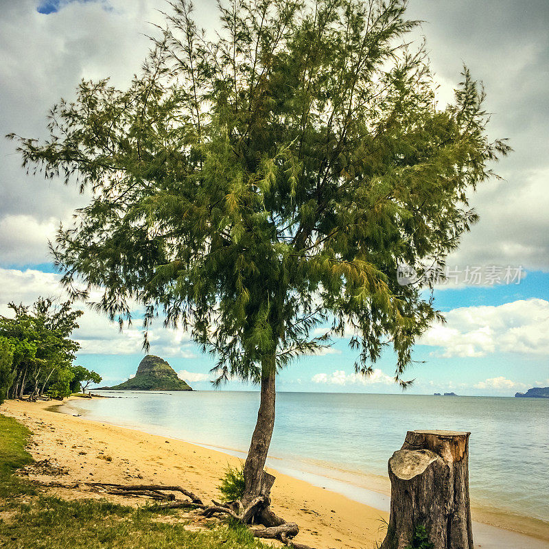 夏威夷的风景