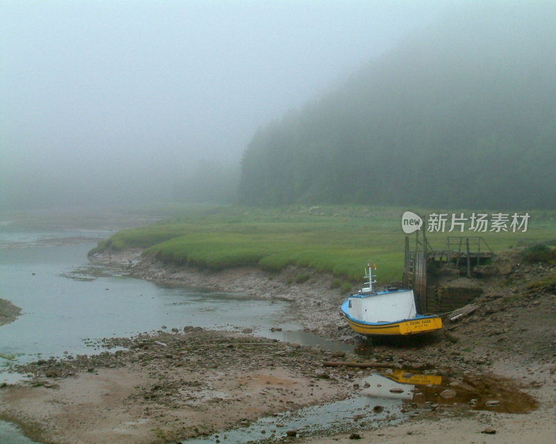 芬迪湾的退潮