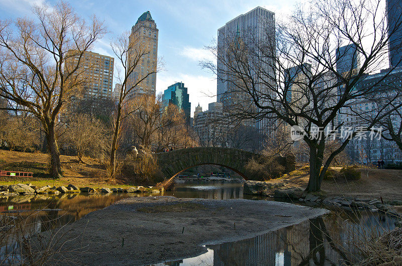 盖普斯托桥和纽约中央公园的城市景观