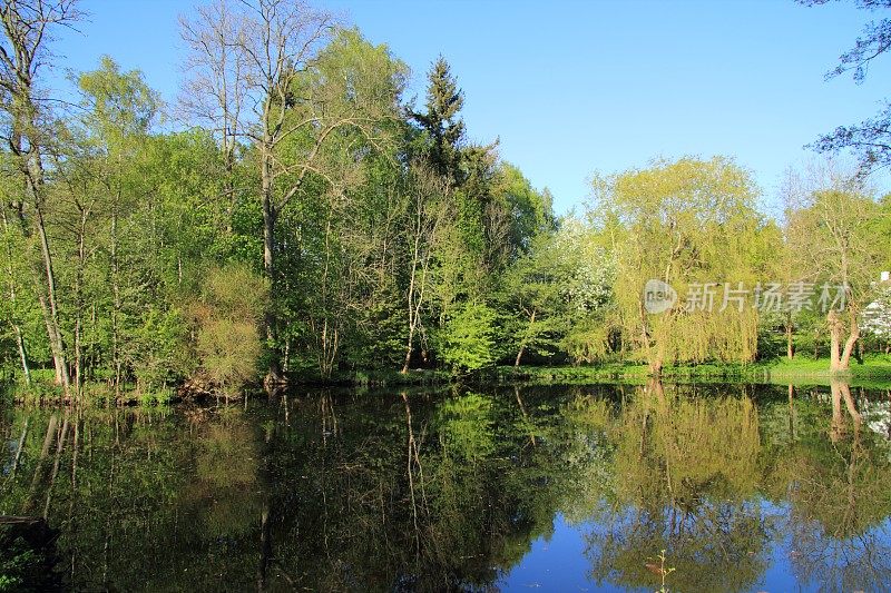 森林湖具有镜面效果-美丽的自然丹麦