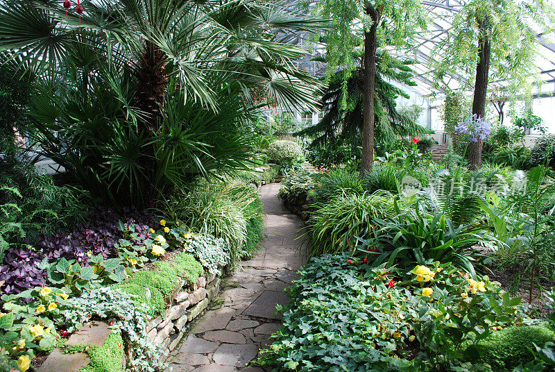 多伦多的热带温室花园