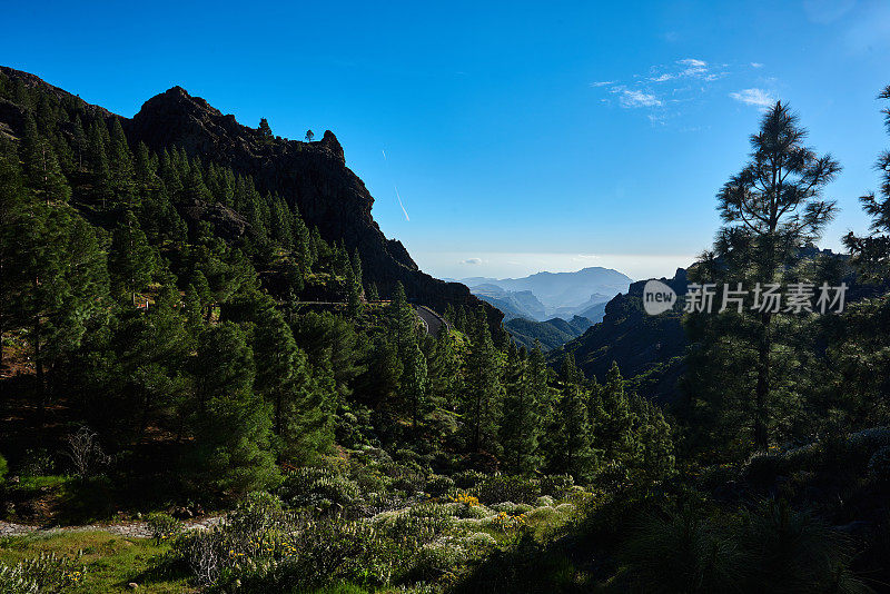 大加那利的风景