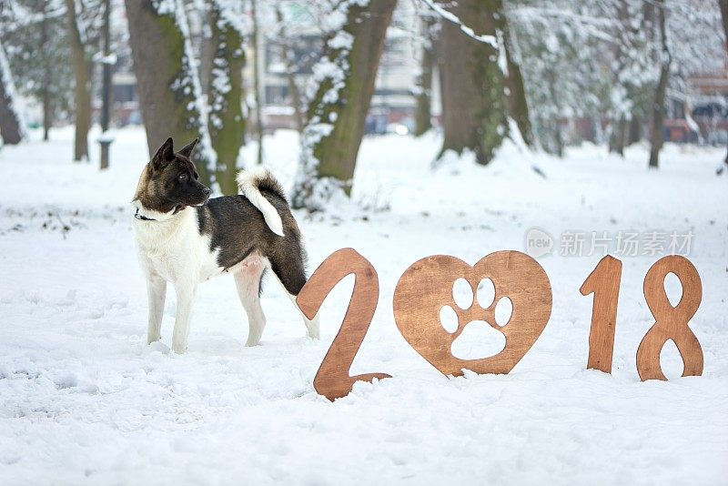 祝你2018年新年快乐