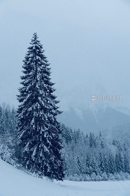 在欧洲阿尔卑斯山脉，冰雪覆盖的冬季景观和森林