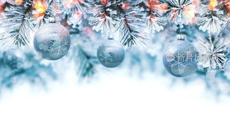 圣诞蓝色背景与球挂在松树上