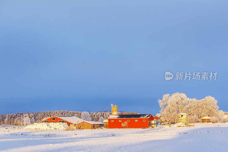 农场建筑在冬天的景色中，有雪和冬天的光线