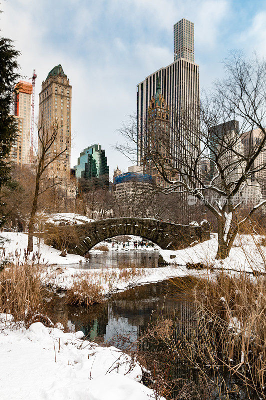 纽约中央公园的盖普斯托桥，一个冰天雪地的冬日