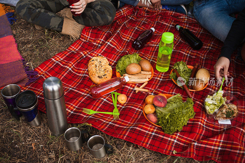 野餐自然时光美味的食物饮料概念。