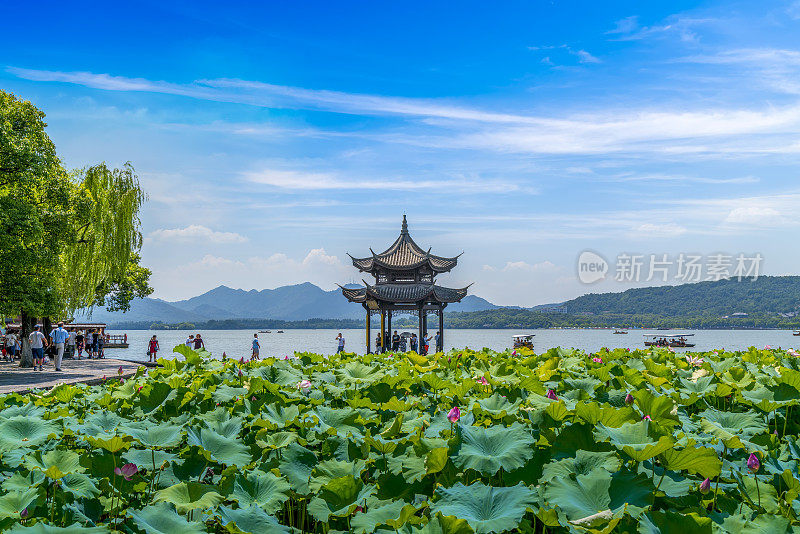 杭州美丽的风景，西湖