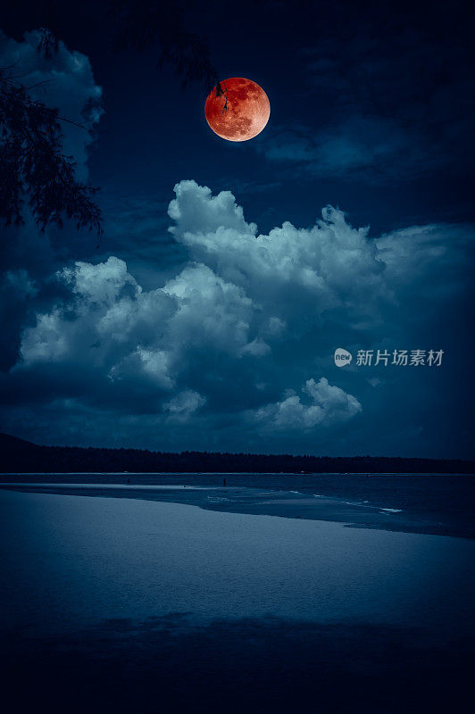 天空的景观与血月的海景到晚上。宁静的自然背景。